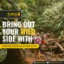 Explore Costa Rica's Drake Bay Tours and Adventures