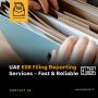 UAE ESR Filing Reporting Services – Fast & Reliable