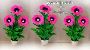 Feinste Floral Boutique und Floristen