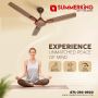 Decorative Ceiling Fan Manufacturers, and Supplier in India