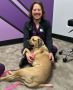 Compassionate Veterinarian in Manassas, VA for Superior Pet