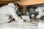 Crawlspace Encapsulation Benefits Orland Park