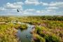 Explore the Wild – Book Your Sundarban Tour 2 Nights 3 Days 