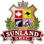 Expert Immigration Consultants Chandigarh – Sunland Educatio