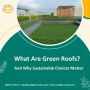 What Are Green Roofing? And Why Sustainable Choices Matter