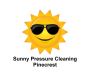 Sunny Pressure Cleaning Pinecrest