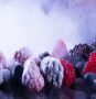 Wholesale Frozen Food Distributors in USA - Sunrise Synergie