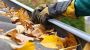 Trusted Gutter Cleaning in North San Juan