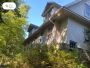 Spring Cleanup Lawn Service for a Fresh Start