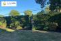 Mowing Service Near Me for a Perfectly Trimmed Lawn