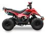 New Youth 110cc ATV Icebear Pah-110R2 With Reverse New Youth 110cc ATV Icebear Pah-110R2 With Reverse