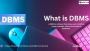 what is dbms