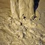 Drilling Fluid Bentonite Manufacturers