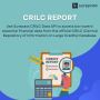 Crilc Report - Central Repository of Information on Large