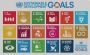 Elevate Your Sustainability: Expert Guidance from Sure Strat