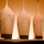 Buy SPF30 Tinted Moisturizer for Dry & Oily Skin - Suroskie