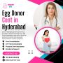 Egg Donor Cost in Hyderabad