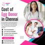 Cost of Egg Donor in Chennai