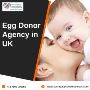 Egg Donor Agency in UK Egg Donor Agency in UK