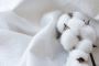 Organic Cotton Company Organic Cotton Company