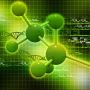 Synthesis Of Complex Molecules