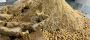 Trusted Soybean Meal Exporter for Livestock Feed