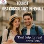 Top Tourist Visa Consultant in Mohali – SVS Consulting Group