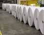 Paper Grade Bentonite 