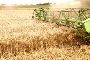 Supercharge Your Productivity with AI-Powered Grain Processi