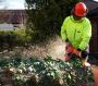 Key Steps Appropriate Optimum Safety to Tree Surgeons Key Steps Appropriate Optimum Safety to Tree Surgeons