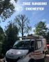 Tree Surgeons Chichester | Tree Surgery Experts