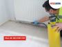 Affordable Ant Exterminator in Sydney: Say Goodbye to Ant 