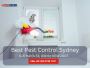 Pest Inspection Sydney – Detailed and Reliable Inspections