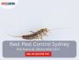  Commercial Exterminators in Sydney – Professional Solutions