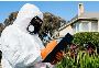 Termite Infestation Sydney