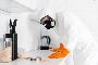 Termite Detection Sydney Termite Detection Sydney