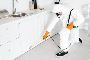Pest Control Services Sydney