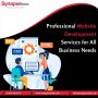 Professional Website Development Services for All Business N