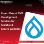 Expert Drupal CMS Development for Scalable & Secure Websites