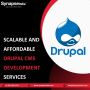 Scalable and Affordable Drupal CMS Development Services