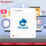 Custom Drupal CMS And Web Development For All Business Sizes