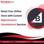 Boost Your Online Store with Custom BigCommerce Development 