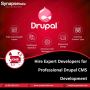 Hire Expert Developers for Drupal CMS Development