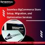 Seamless BigCommerce Store Setup, Migration, and Optimizatio