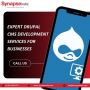 Expert Drupal CMS Development Services for Businesses