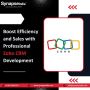Boost Efficiency with Professional Zoho CRM Development