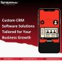 Custom CRM Software Solutions Tailored for Your Business Gro