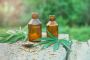 Understanding CBD (Cannabidiol) For Back Pain | Synaptix CBD