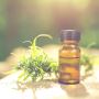 Top Advantages OF Purchasing Cannabidiol OIl | Synaptix CBD