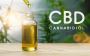 What is CBDA? All you need to know about Cannabidiolic Acid